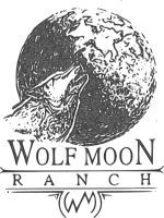 Performance Paint & Quarter Horses | Wolf Moon Ranch LLC